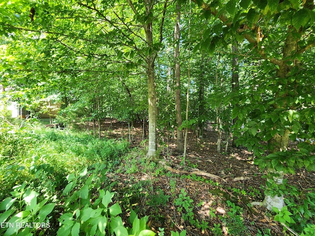122 Golanvyi Trl, Vonore, TN 37885 - photo 4