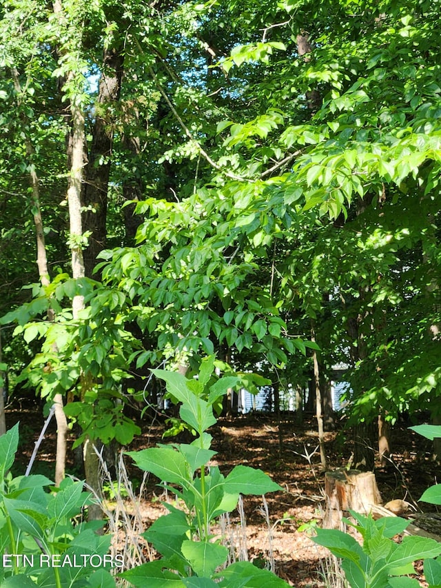 122 Golanvyi Trl, Vonore, TN 37885 - photo 3
