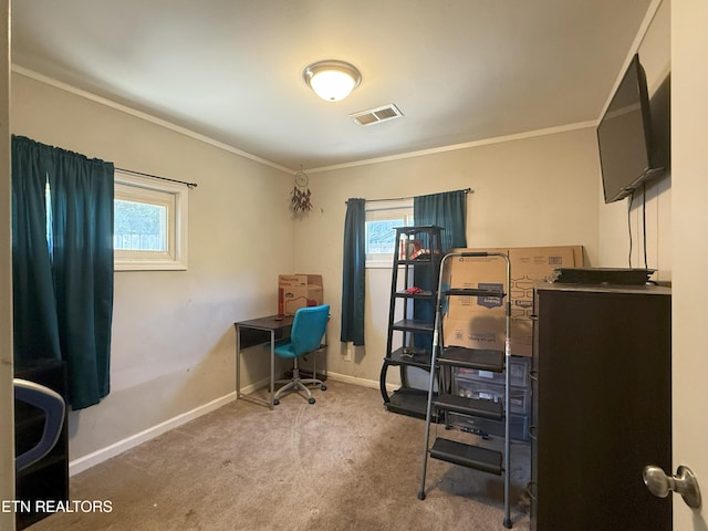 2961 Buffat Mill Rd, Knoxville, TN 37917 - photo 14