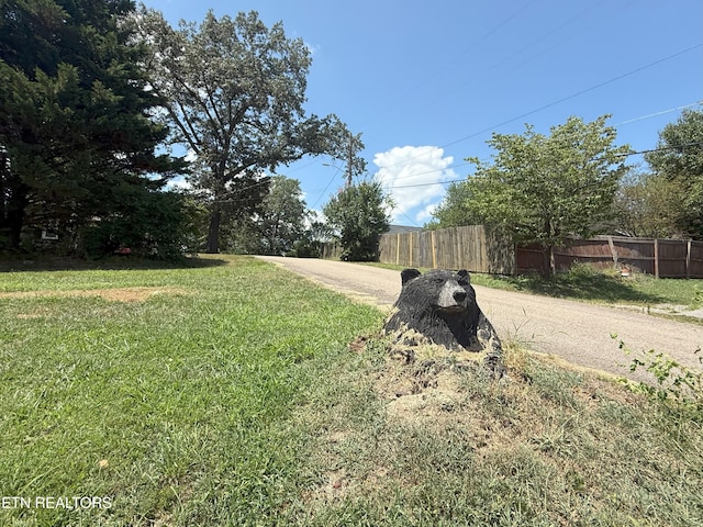 2961 Buffat Mill Rd, Knoxville, TN 37917 - photo 8