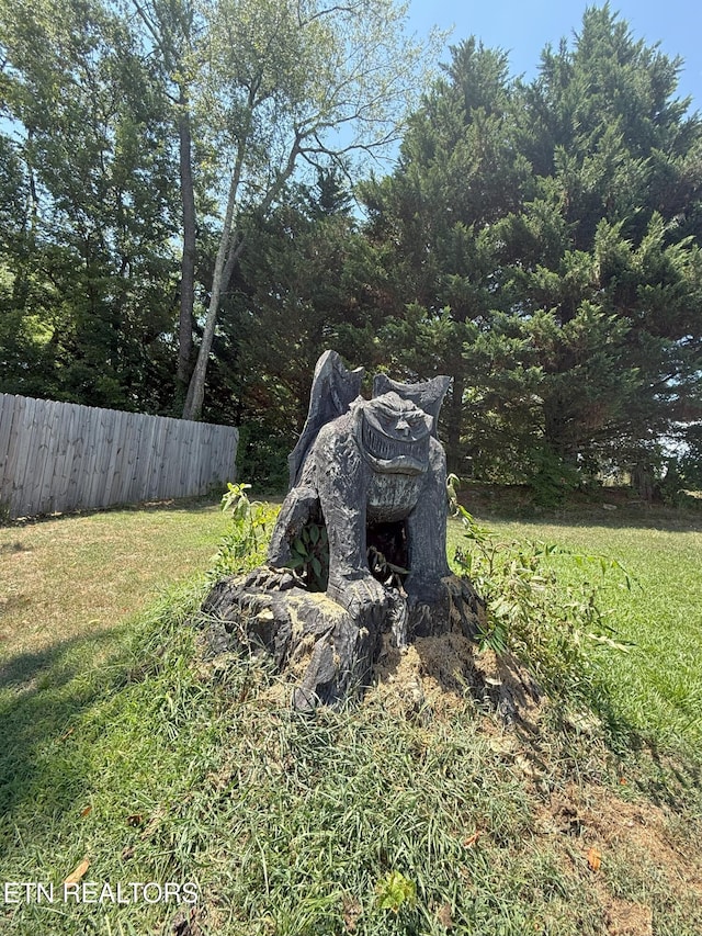 2961 Buffat Mill Rd, Knoxville, TN 37917 - photo 22
