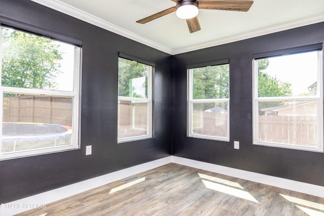 1922 Penwood Dr, Knoxville, TN 37922 - photo 28