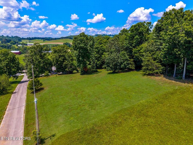 133 Rolling Hls, Rutledge, TN 37861 - view of green lawn