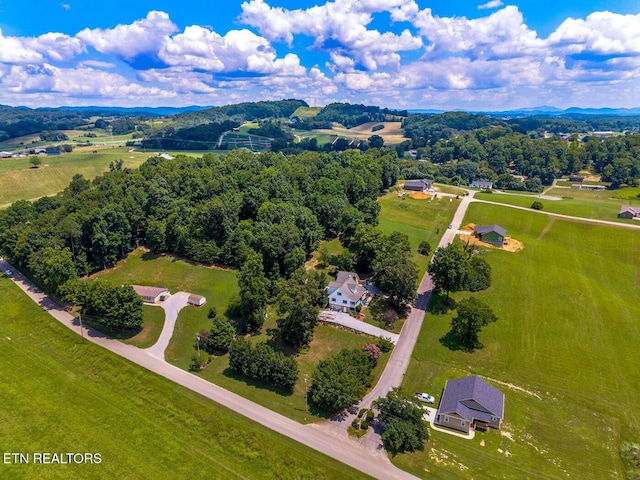133 Rolling Hls, Rutledge, TN 37861 - drone / aerial view
