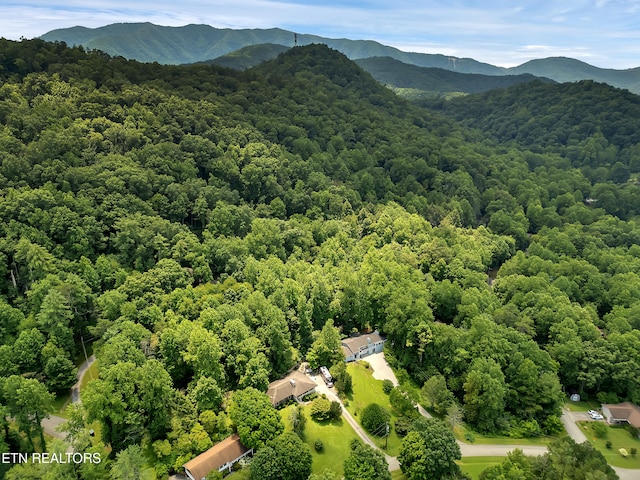 355 E Chestnut Hill Rd, Townsend, TN 37882 - photo 58