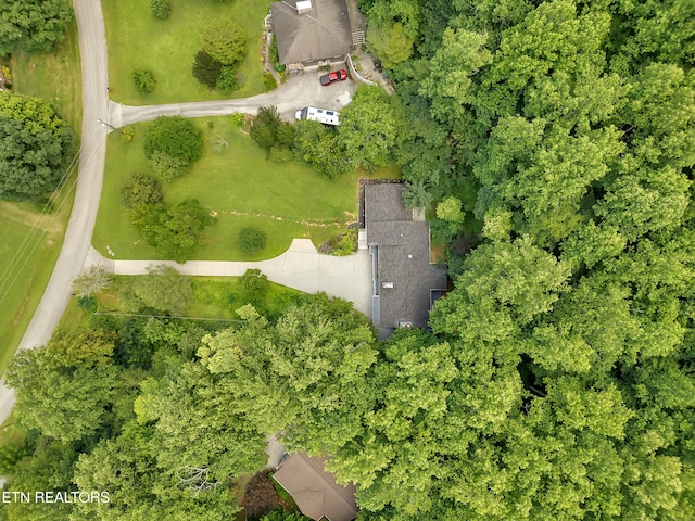 355 E Chestnut Hill Rd, Townsend, TN 37882 - photo 59