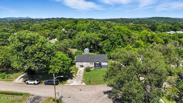 2021 Saxton Ave, Knoxville, TN 37915 - photo 45