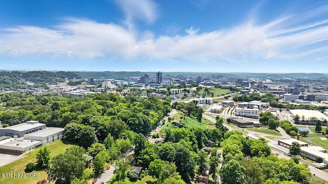 2021 Saxton Ave, Knoxville, TN 37915 - photo 50
