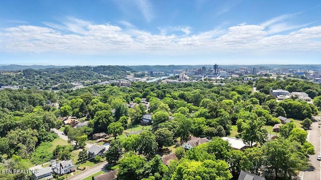 2021 Saxton Ave, Knoxville, TN 37915 - photo 56