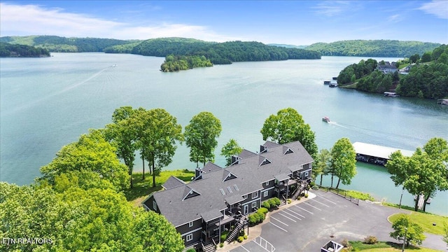 700 Shanghai Landing Ln Unit 11, Lafollette, TN 37766 - aerial view of a nearby body of water