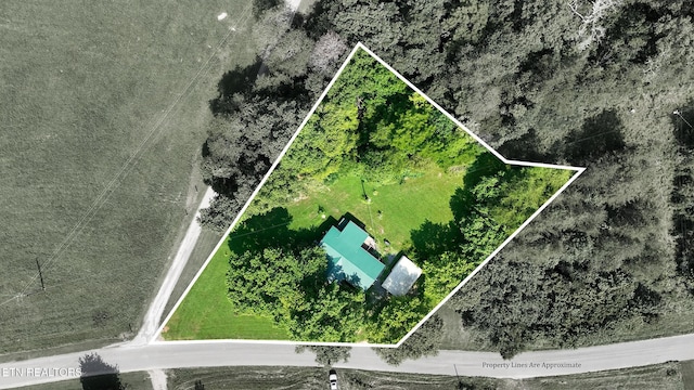 587 Belltown Rd, Tellico Plains, TN 37385 - photo 3