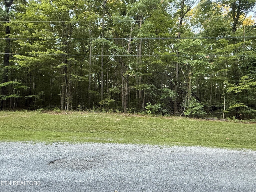 LOT5 Clyde Pl, Monterey, TN 38574