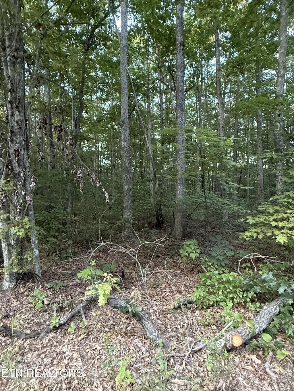 LOT5 Clyde Pl, Monterey, TN 38574