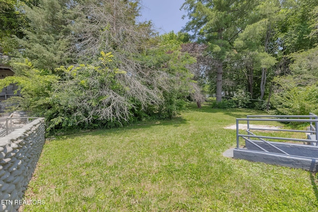 2307 Cecil Ave, Knoxville, TN 37917 - photo 41