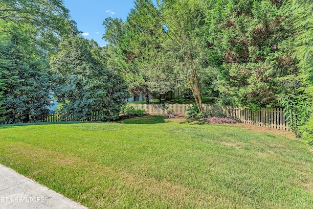 127 Newhaven Rd, Oak Ridge, TN 37830 - view of yard