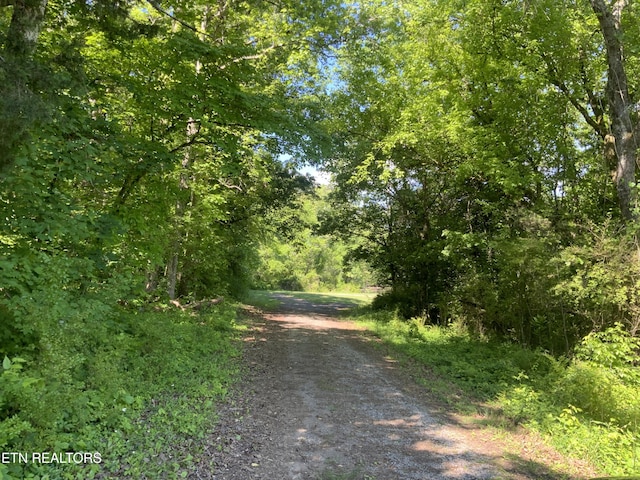 205 Browder Rd, Kingston, TN 37763 - photo 44