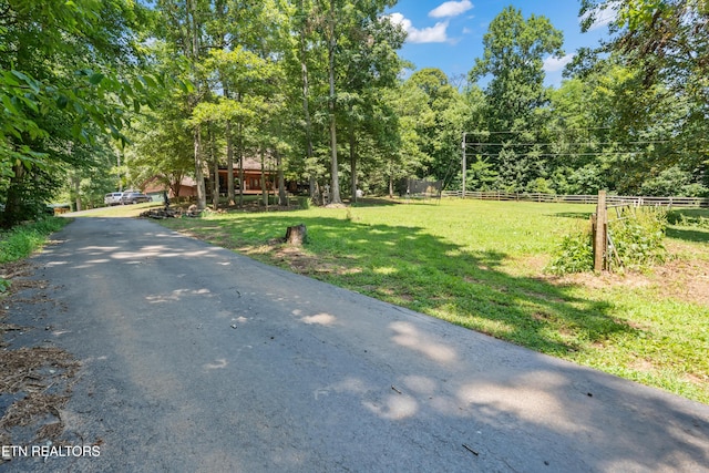 7637 Mcmillan Rd, Knoxville, TN 37914 - photo 16