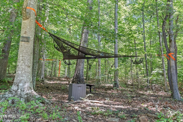 7637 Mcmillan Rd, Knoxville, TN 37914 - photo 26
