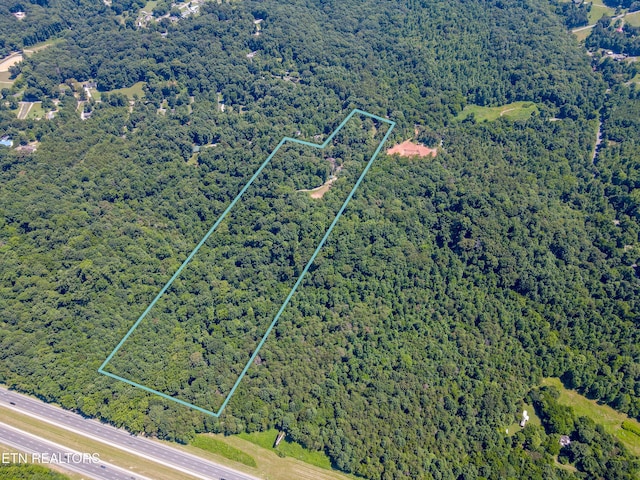 7637 Mcmillan Rd, Knoxville, TN 37914 - photo 57