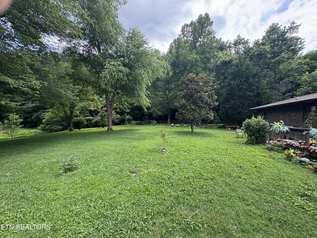 1637 Arron Way, Sevierville, TN 37876 - photo 6