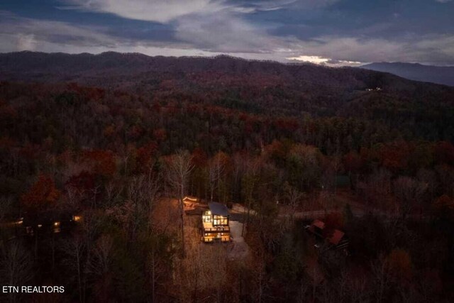 4173 Mountain Rest Way, Sevierville, TN 37876 - photo 17