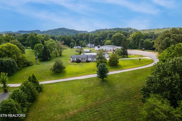 5208 John Hall Rd, Knoxville, TN 37920 - photo 10