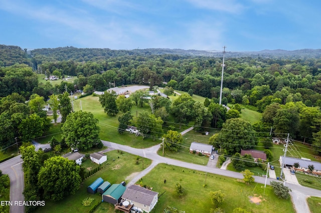 5208 John Hall Rd, Knoxville, TN 37920 - photo 13