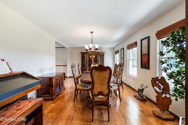 5208 John Hall Rd, Knoxville, TN 37920 - photo 32