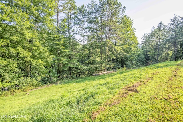 6430 Get Good Hollow Rd, Loudon, TN 37774 - photo 22