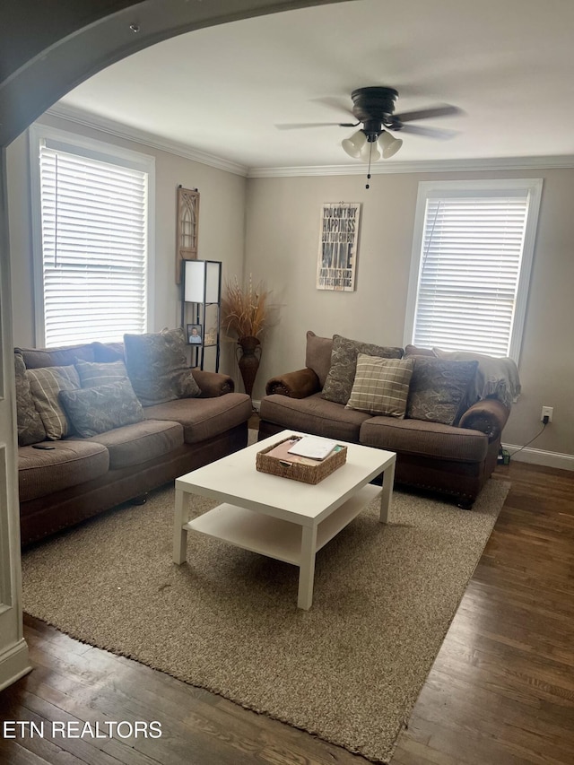 405 N C St, Lenoir City, TN 37771 - photo 7