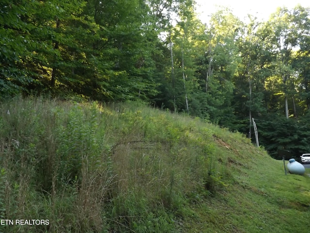 440 Sams Mtn, Middlesboro, KY 40965 - view of woods
