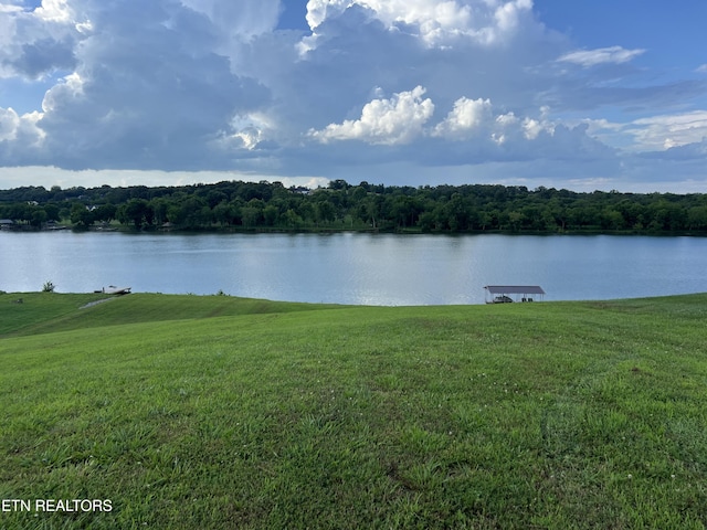 488 Silent River Ln, Loudon, TN 37774 - photo 1