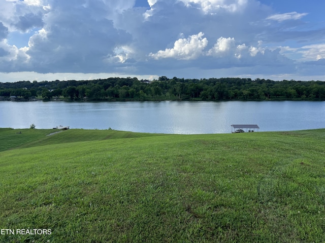 488 Silent River Ln, Loudon, TN 37774 - photo 6