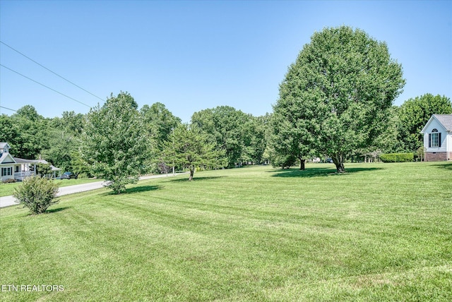 1036 Circle Dr, Jamestown, TN 38556 - view of green lawn