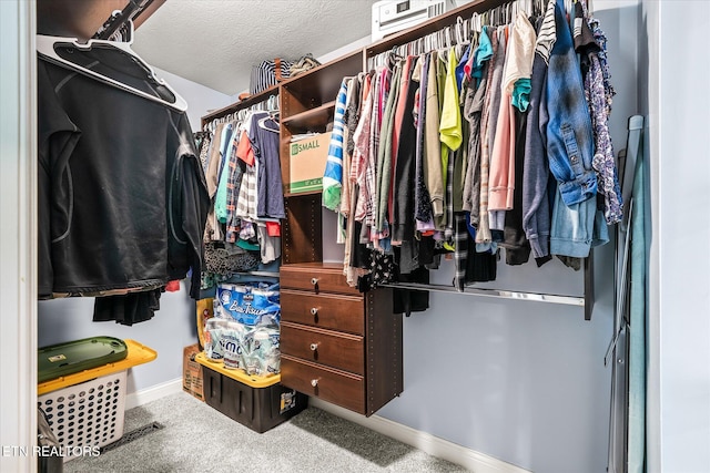 1036 Circle Dr, Jamestown, TN 38556 - walk in closet with carpet floors