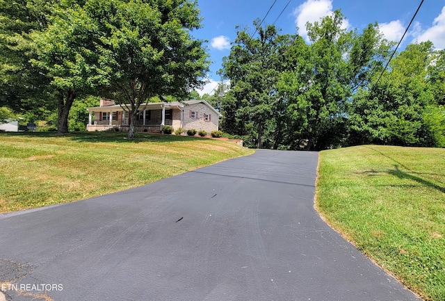 1601 Foxboro Dr, Knoxville, TN 37912 - photo 18