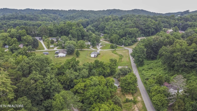 539 Baumgartner Rd, Harriman, TN 37748 - photo 31