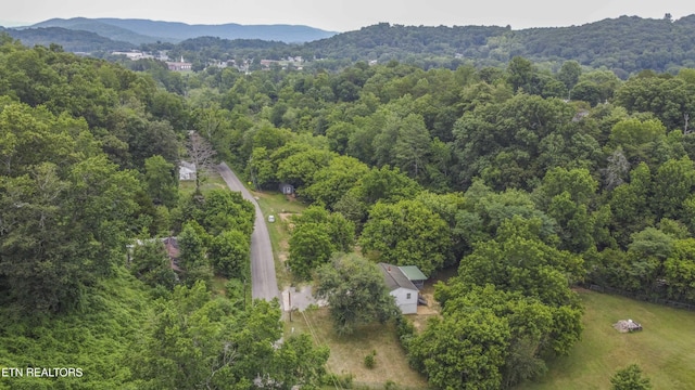 539 Baumgartner Rd, Harriman, TN 37748 - photo 33