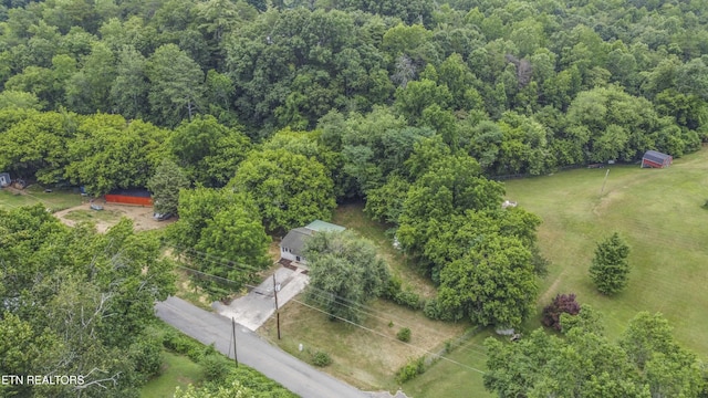 539 Baumgartner Rd, Harriman, TN 37748 - photo 34