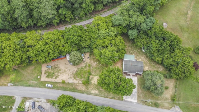 539 Baumgartner Rd, Harriman, TN 37748 - photo 35