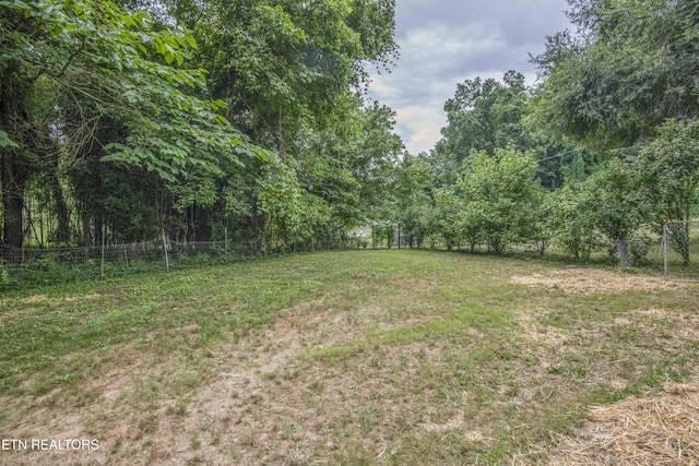 539 Baumgartner Rd, Harriman, TN 37748 - photo 27