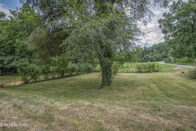 539 Baumgartner Rd, Harriman, TN 37748 - photo 29