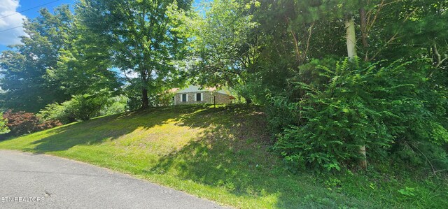 191 Ashley Ln, Oneida, TN 37841 - view of green lawn
