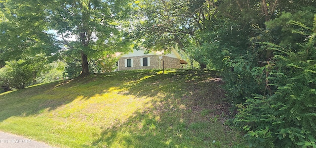 191 Ashley Ln, Oneida, TN 37841 - view of grassy yard