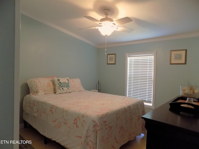 1208 Bales Rd, New Market, TN 37820 - photo 13