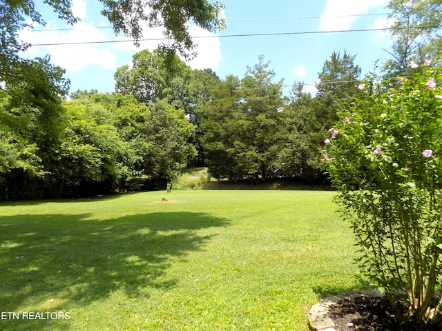 1208 Bales Rd, New Market, TN 37820 - photo 30