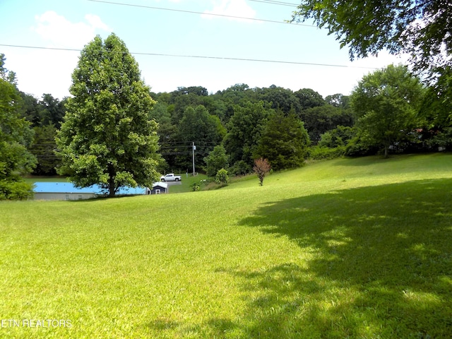1208 Bales Rd, New Market, TN 37820 - photo 36
