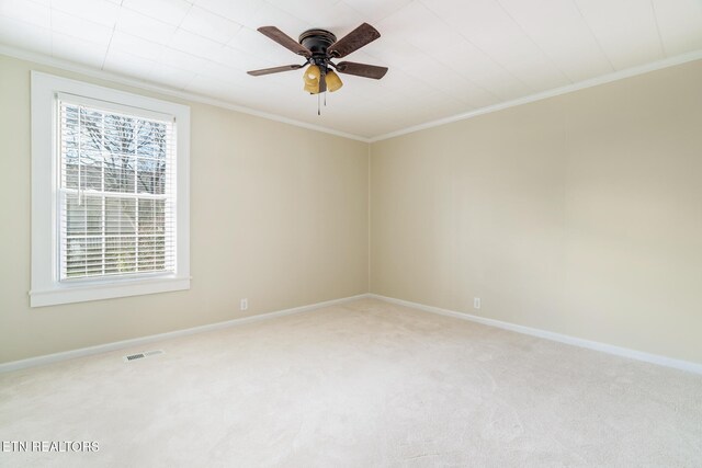 809 Highland Dr, Knoxville, TN 37912 - photo 12