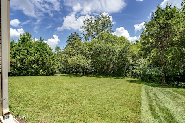 505 Tanasi Cir, Loudon, TN 37774 - photo 41