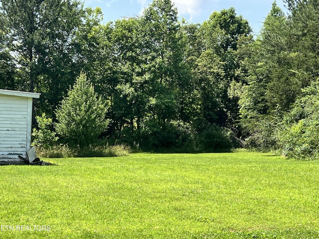 1517 County Road 250, Niota, TN 37826 - photo 49